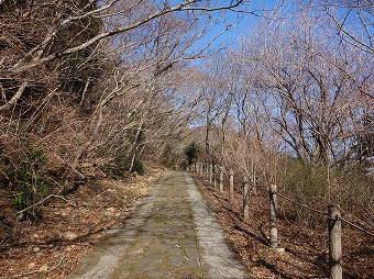 遊歩道を城山へ