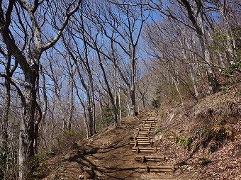 幕山へ