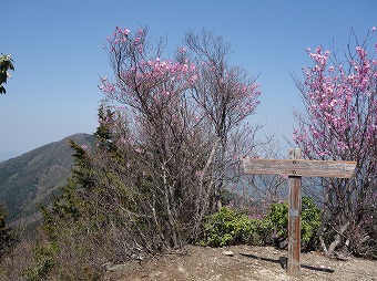 小持山
