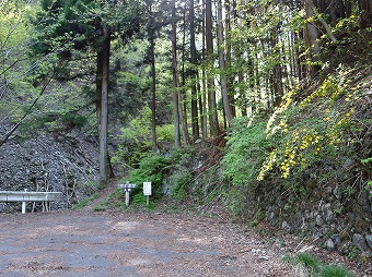 ウノタワ登山口