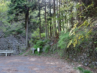 ウノタワ登山口