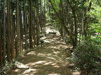 芥場峠