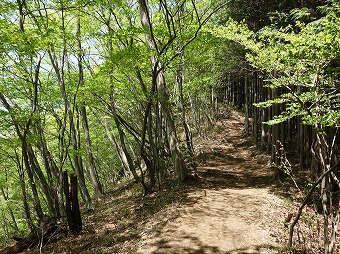 鍋割山へ