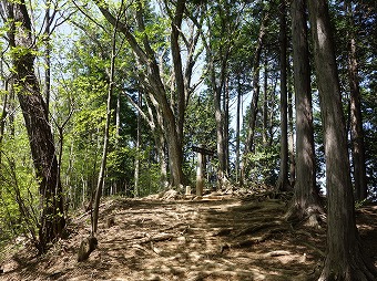 鍋割山山頂