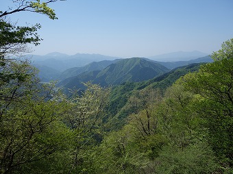 世附権現山