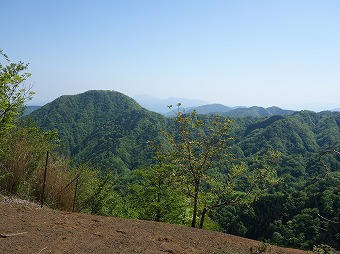 箒沢権現山～