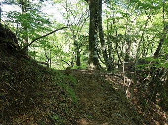 箒沢権現山⇔畦ヶ丸の分岐