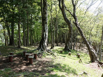 箒沢権現山