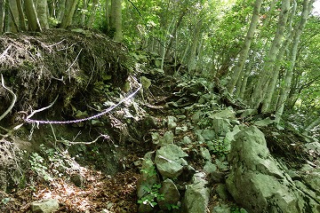 板小屋沢ノ頭へ