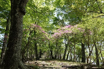 石棚山稜へ