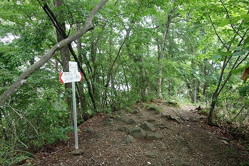 馬立山の山頂