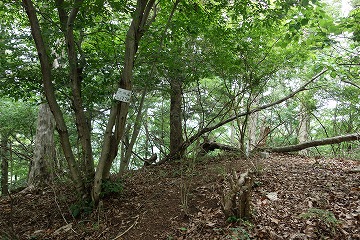 池の山