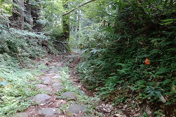 奥の細道古道　「昔の月山登拝路」