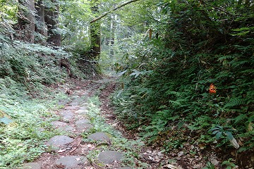 奥の細道古道　「昔の月山登拝路」