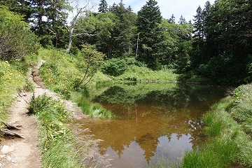 妖精の池