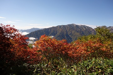 蓮華岳