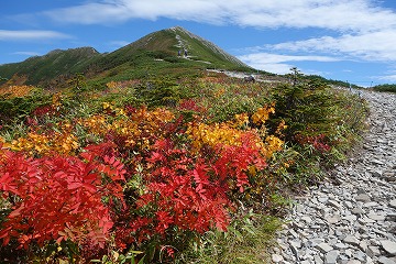 爺ヶ岳へ