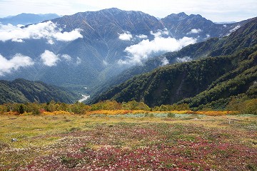 爺ヶ岳からの風景