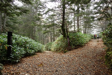 志賀山分岐