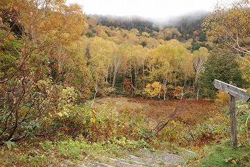 長池湿原