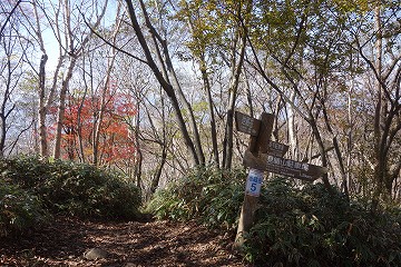 新坂平分岐