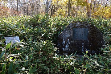 水原秋櫻子の句碑