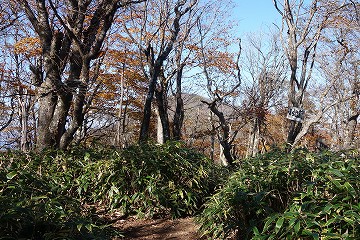 小地蔵岳　山頂