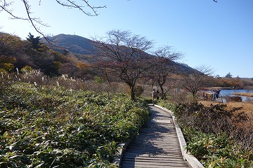 覚満淵の木道