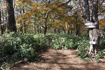 烏帽子ヶ岳　山頂