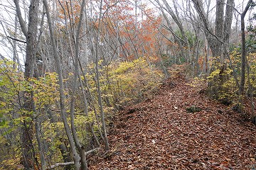 鋸尾根