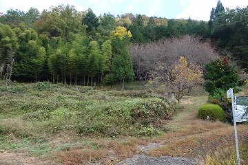 鋸尾根登山口