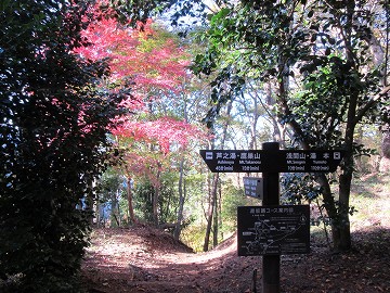 小涌谷分岐