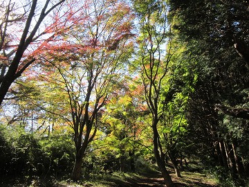 湯坂路