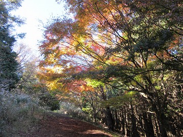 湯坂路