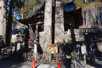 三峰神社御神木