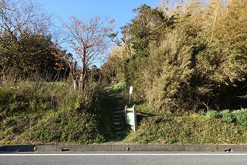 とみやま水仙遊歩道