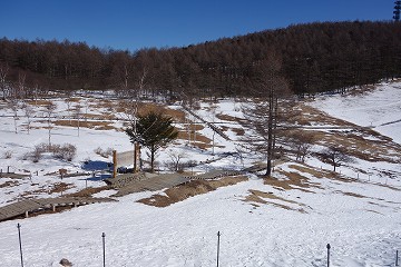 入笠湿原