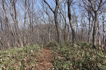 皇鈴山へ