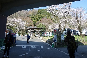 氷川神社