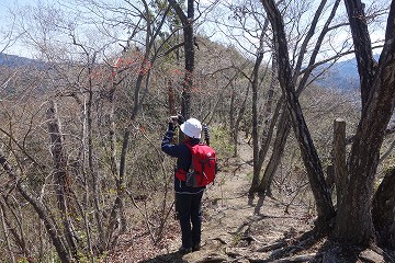 登下・大倉　分岐