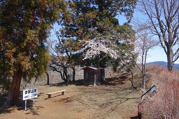 要害山山頂