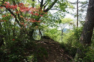 沢井沢ノ頭