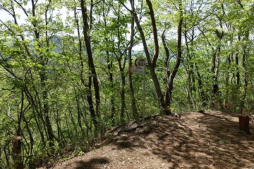 九鬼山・植野山分岐