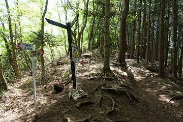 田野倉駅分岐