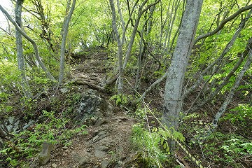 九鬼山　直下