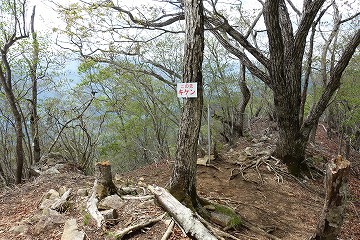 浜立山分岐