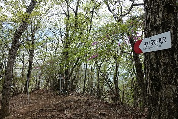 男坂・女坂分岐