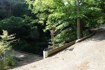 北方川西尾根・東尾根分岐