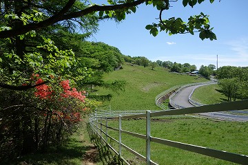 横根山へ