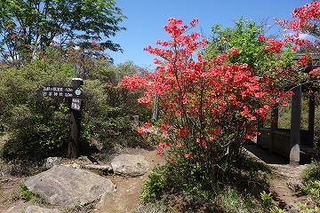 横根山山頂